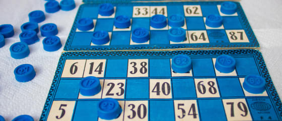 Â¿CuÃ¡ntos tipos de bingo en lÃ­nea hay en los casinos en lÃ­nea?